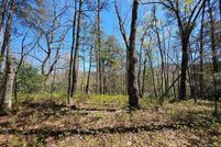Land for sale in Fannin County, Georgia