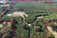 Undeveloped Land for sale in Marion County, Texas