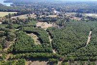 Undeveloped Land for sale in Marion County, Texas