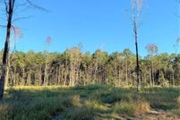 Land for sale in East Feliciana Parish, Louisiana