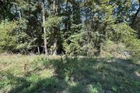 Undeveloped Land for sale in Cleburne County, Arkansas