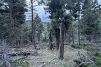 Land for sale in Colfax County, New Mexico