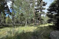 Land for sale in Colfax County, New Mexico