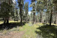 Homesite for sale in Colfax County, New Mexico