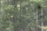 Land for sale in Walker County, Alabama