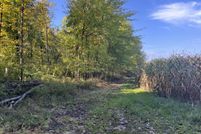 Land for sale in Van Buren County, Michigan