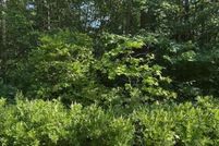 Land for sale in Westmoreland County, Virginia