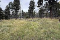 Undeveloped Land for sale in Colfax County, New Mexico