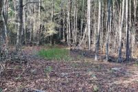 Land for sale in Harnett County, North Carolina