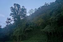 Recreational Property for sale in Breathitt County, Kentucky