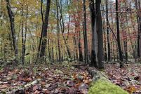 Undeveloped Land for sale in Preston County, West Virginia
