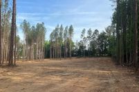 Land for sale in Mecklenburg County, Virginia