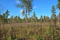 Land for sale in Brunswick County, Virginia