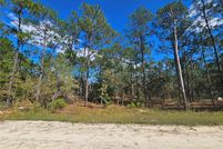 Undeveloped Land for sale in Levy County, Florida