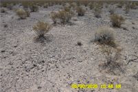 Land for sale in Nye County, Nevada