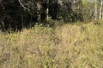 Land for sale in Fulton County, Arkansas
