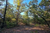 Undeveloped Land for sale in Henderson County, Texas