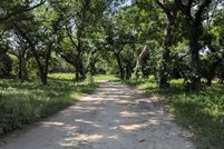 Land for sale in Parker County, Texas