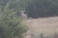 Land for sale in Edwards County, Texas