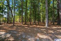 Land for sale in Florence County, South Carolina