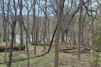 Undeveloped Land for sale in Jo Daviess County, Illinois