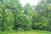 Undeveloped Land for sale in Jo Daviess County, Illinois