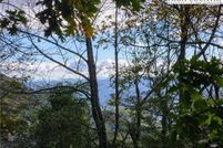 Farm and Ranch for sale in Avery County, North Carolina