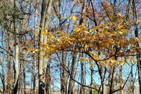 Land for sale in Monroe County, Pennsylvania