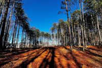 Undeveloped Land for sale in Iredell County, North Carolina