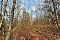 Undeveloped Land for sale in Polk County, North Carolina