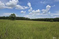 Undeveloped Land for sale in Conecuh County, Alabama