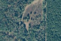 Land for sale in Crenshaw County, Alabama