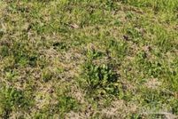 Land for sale in Santa Rosa County, Florida