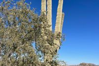 Land for sale in Maricopa County, Arizona