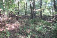 Land for sale in Cass County, Michigan