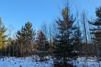Undeveloped Land for sale in Manistee County, Michigan