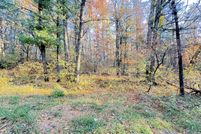 Undeveloped Land for sale in Newaygo County, Michigan
