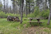 Undeveloped Land for sale in Lake County, Michigan