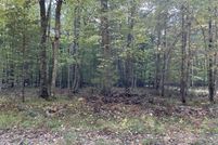 Land for sale in Lake County, Michigan