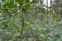 Land for sale in Lake County, Michigan