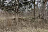Undeveloped Land for sale in Allegan County, Michigan