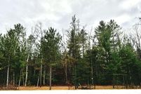 Land for sale in Lake County, Michigan