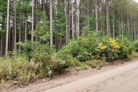Undeveloped Land for sale in Lake County, Michigan