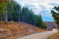 Undeveloped Land for sale in Manistee County, Michigan