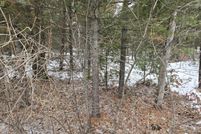 Land for sale in Lake County, Michigan