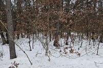 Land for sale in Lake County, Michigan