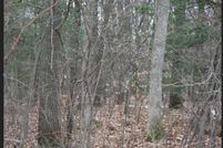 Undeveloped Land for sale in Muskegon County, Michigan