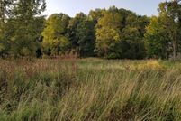 Land for sale in Lenawee County, Michigan