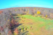 Undeveloped Land for sale in Van Buren County, Michigan