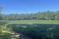 Undeveloped Land for sale in Branch County, Michigan